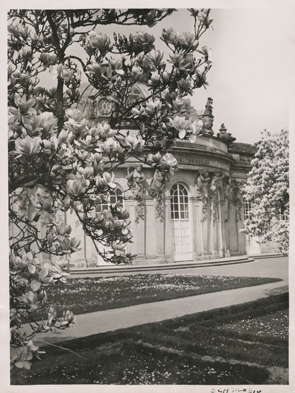 Potsdam
